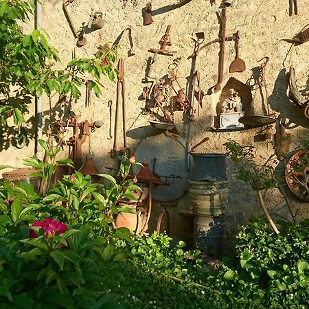 Oddi21 B&B Альбенга Экстерьер фото