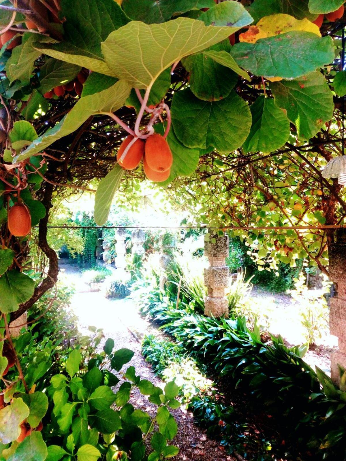 Oddi21 B&B Альбенга Экстерьер фото